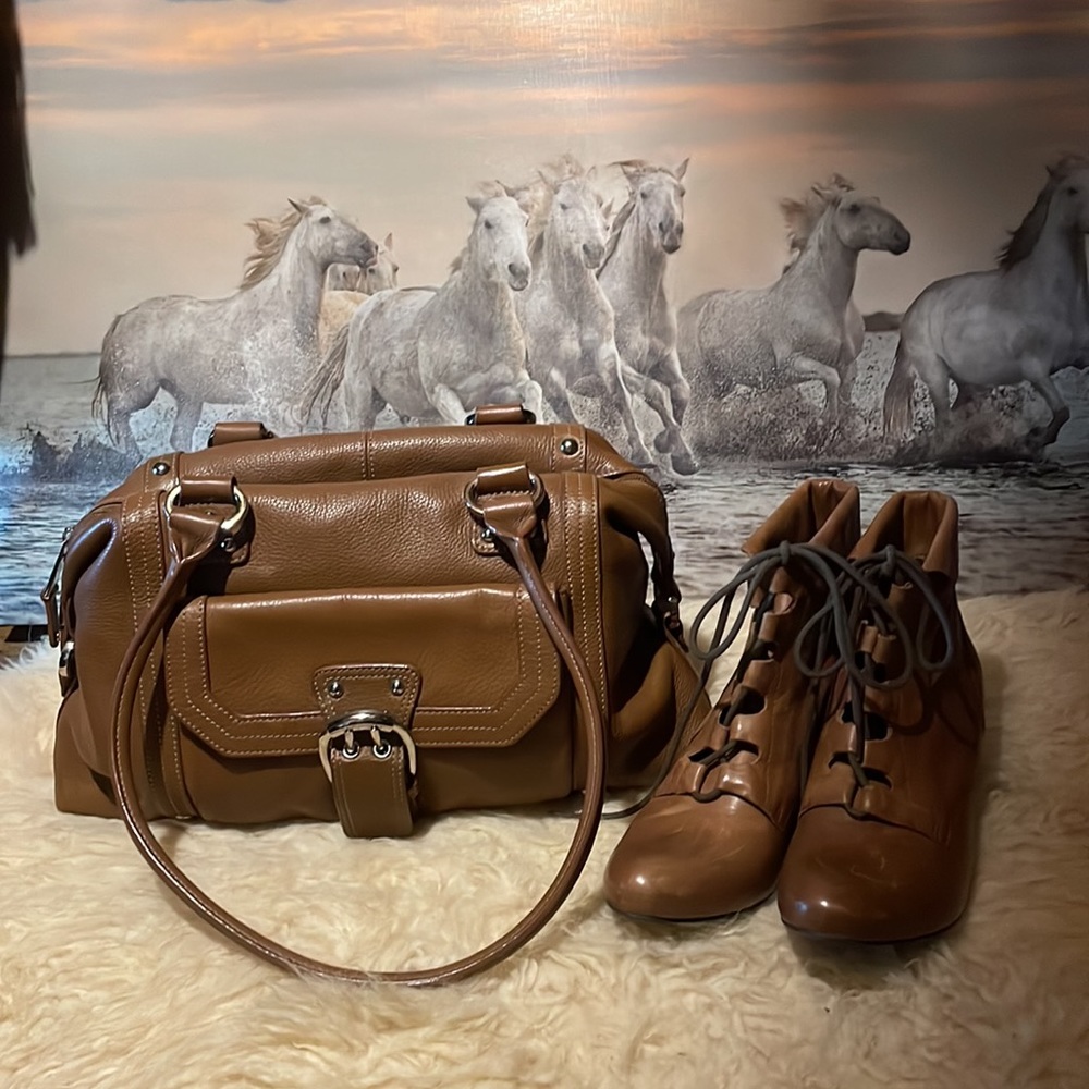 Tignanello Italian leather bag